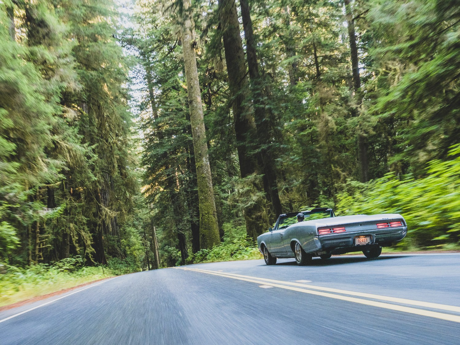 Hagerty (PRNewsfoto/Hagerty)