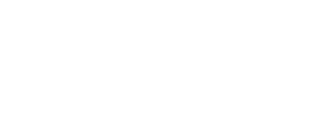 ESS Inc.
