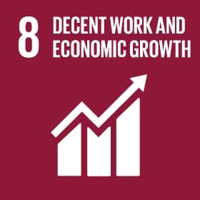 SDG 8: Decent Work and Economic Growth 