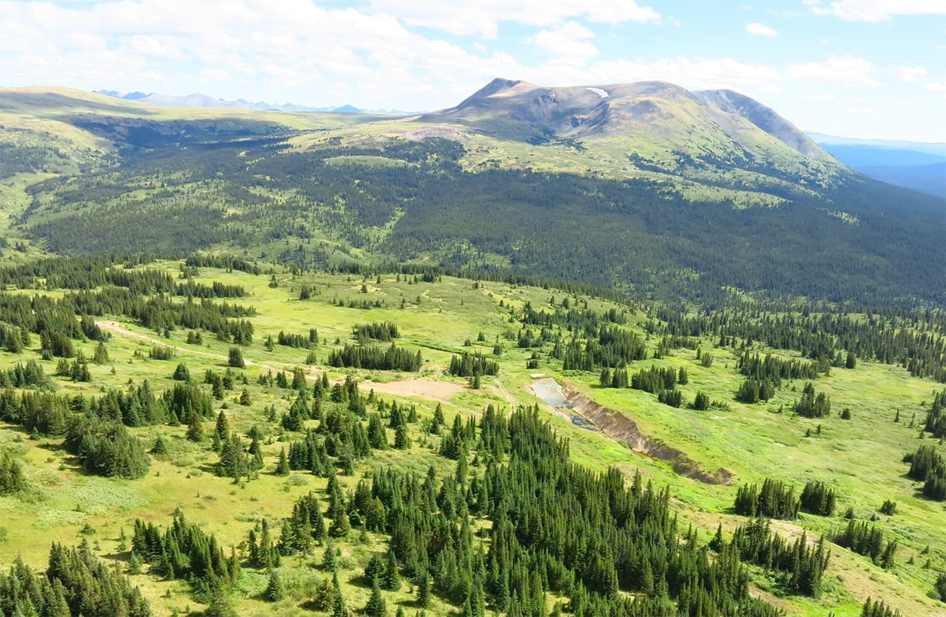Mountain range with green grasses and trees