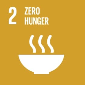 SDG 2: Zero Hunger 