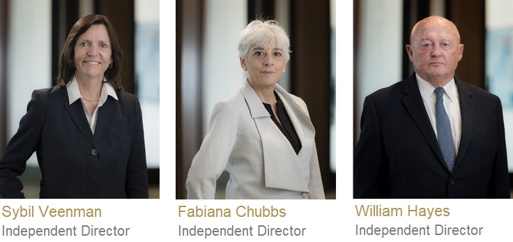 William M. Hayes, Fabiana Chubbs, and Sybil E. Veenman