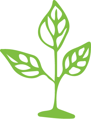 leaf icon