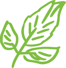 leaf icon