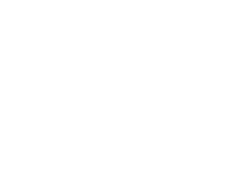 financial integrity icon