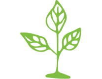 icon of green leaf