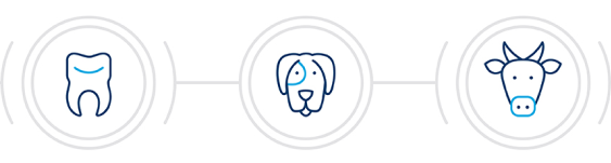 three circular images from left to right of a tooth, dog, and cow